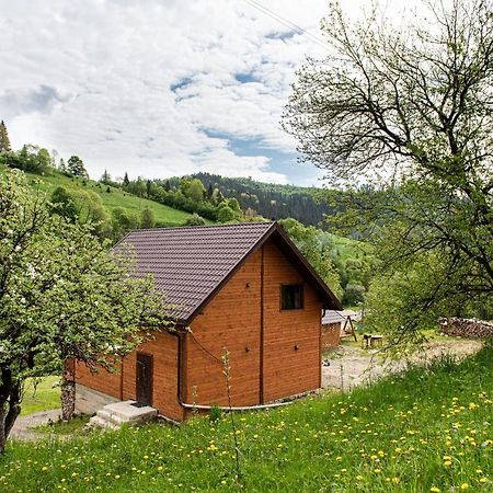 Villa Grace Orawczyk Zewnętrze zdjęcie